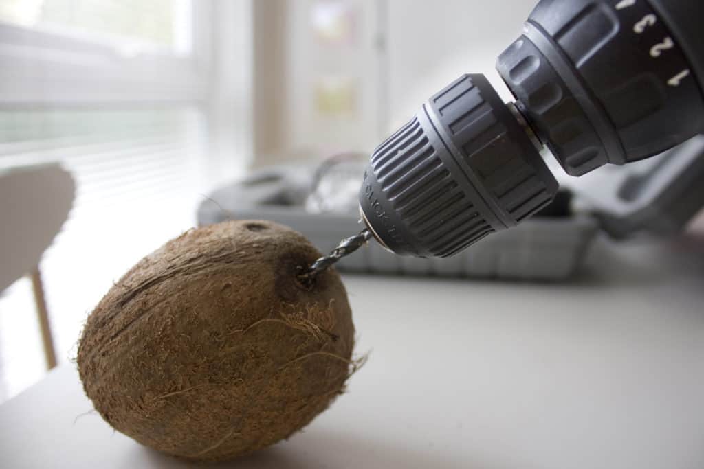 drilling a coconut