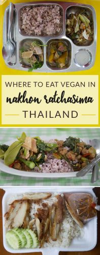 Vegan in Nakhon Ratchasima Korat Thailand