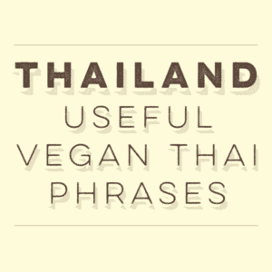 Vegetarian Thai phrases