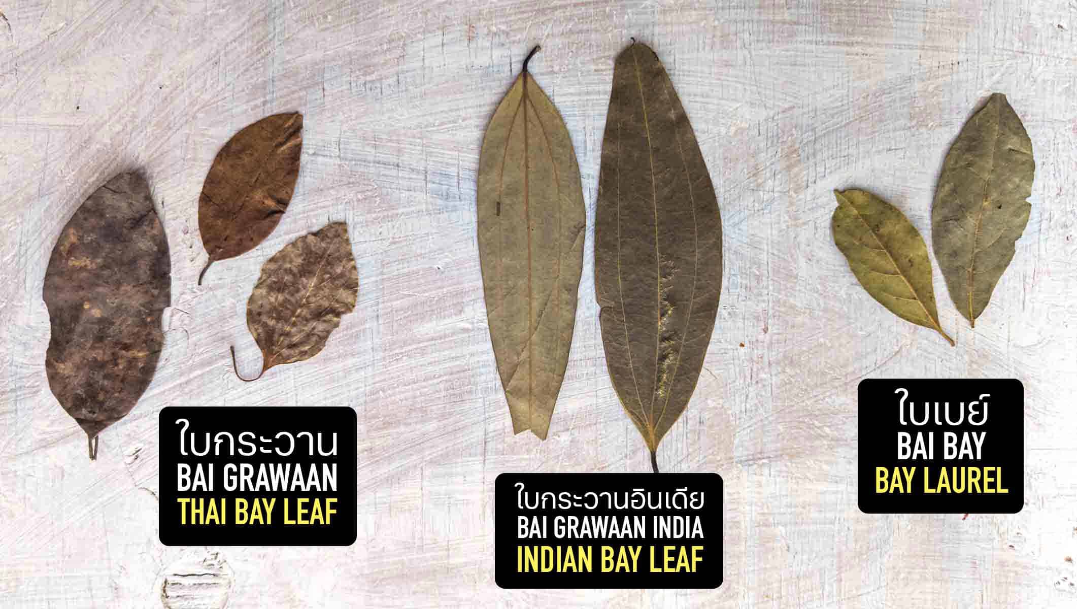 Thai bay leaf, Indian bay leaf, and bay laurel